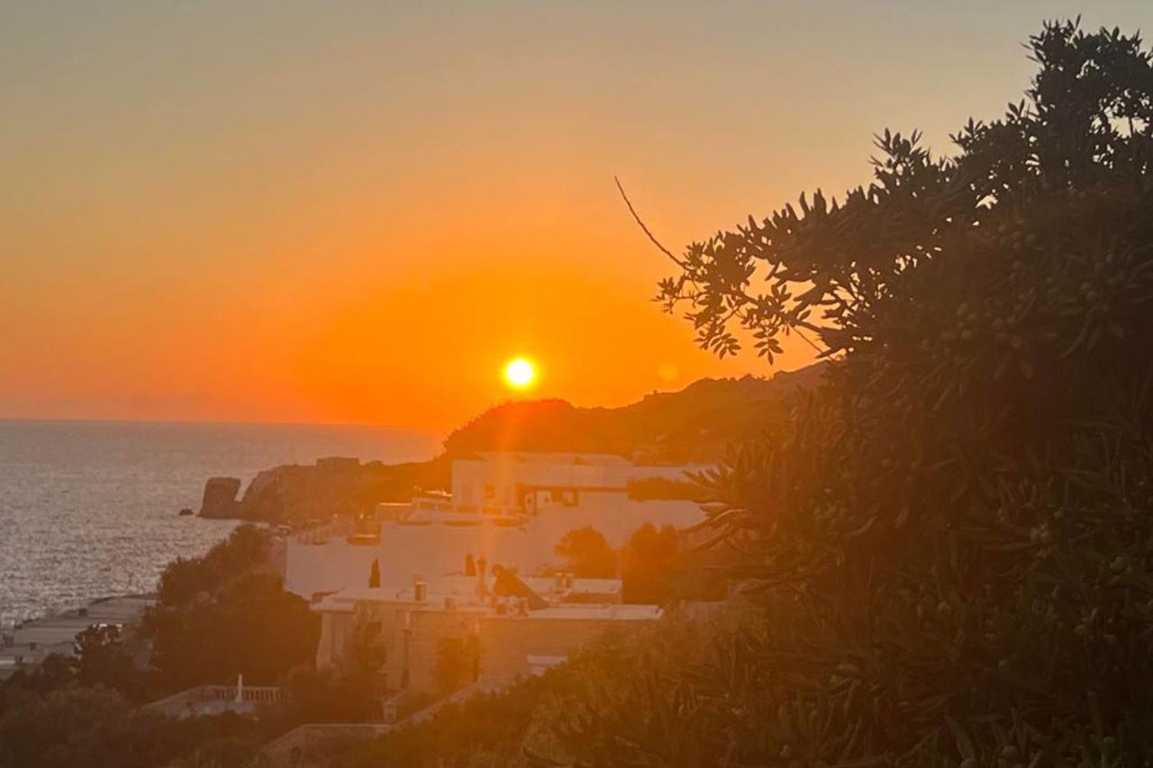 Villa Palma - Sunset Sea Views With Pool, Jacuzzi, Sauna And Games Room 멜리에하 외부 사진
